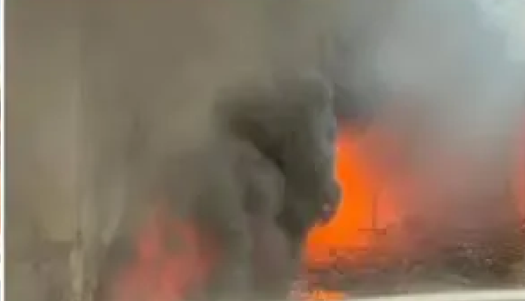 Mumbai Building Catches Fire: ठाणे के घोड़बंदर रोड पर इमारत की पहली मंजिल पर लगी भीषण आग, एक परिवार के दो लोगों की मौत