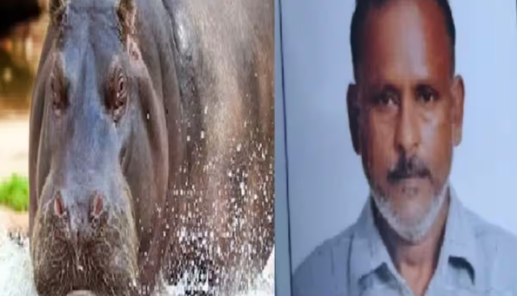 Lucknow: चिड़ियाघर में सफाई करने गए कर्मचारी पर दरियाई घोड़े ने किया हमला, हुई मौत