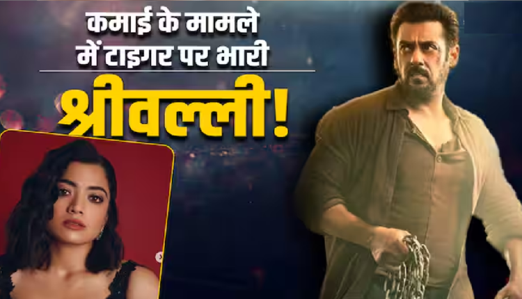 Salman Khan vs Rashmika Mandanna: बॉक्स ऑफिस पर सलमान की बाप हैं रश्मिका मंदाना, जानें दोनों स्टार्स की पिछली फिल्मों का कलेक्शन