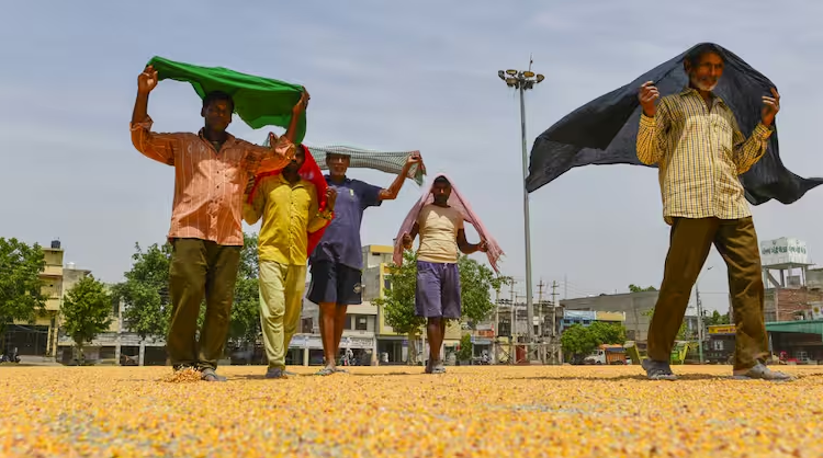 यूपी में जानलेवा हुआ मौसम, गाजियाबाद में गर्मी से 24 घंटे में 30 लोगों की मौत की आशंका!