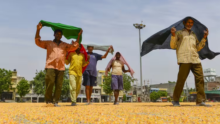 Heatwave: सावधान! कोरोना की तरह डरावने हैं हीटवेव के आंकड़े, सामने आए 41 हजार मामले, महज 3 महीने में 143 ने तोड़ा दम