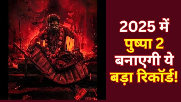 Pushpa 2 Box Office Collection