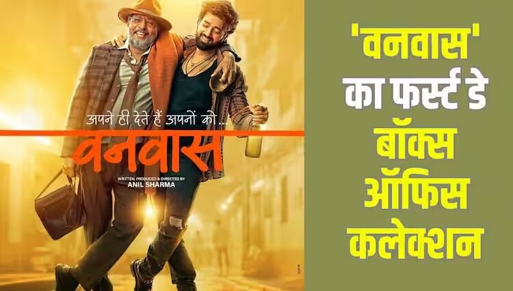 Vanvaas Box Office Collection