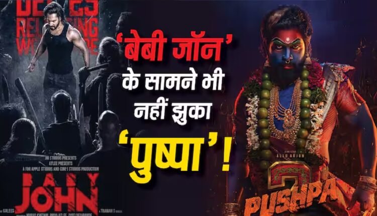 Pushpa 2 Box Office Collection