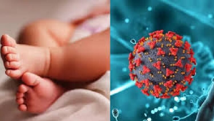 HMPV वायरस