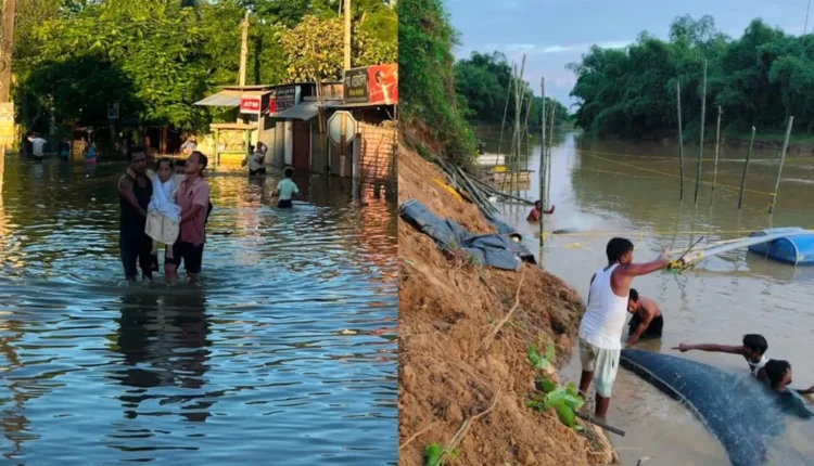 Assam Flood, Assam Rain, IMD Alert, Flood News, Assam Weather